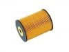 Oil Filter:S1000L21173-13015